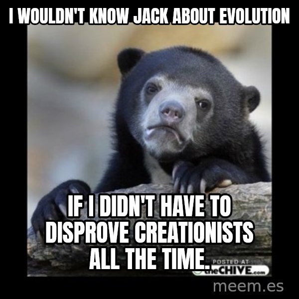 sad bear meme: I wouldn't know jack about evolution / if I didn't have to disprove creationists all the time.