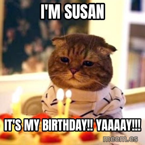 Birthday Cat meme: I'M SUSAN / IT'S MY BIRTHDAY!! YAAAAY!!!