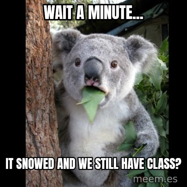 Koala can't believe it meme: wait a minute... / it snowed and we still have class?