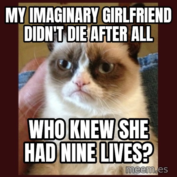 Grumpy Cat  meme: my imaginary girlfriend didn't die after alL / who knew she had nine lives?