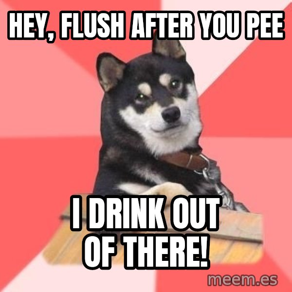 Cool Dog meme: hey, flush after you pee / i drink out of there!