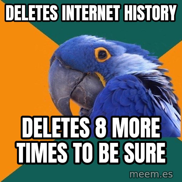 Paranoid Parrot meme: deletes internet history / Deletes 8 more times to be sure
