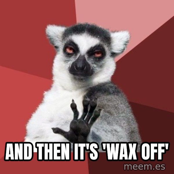 Chill Out Lemur meme: and then it's 'wax off'