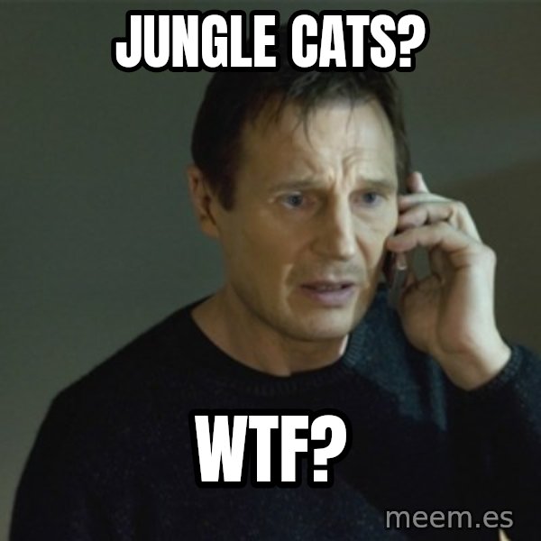 I don't know who you are... meme: JUNGLE CATS? / WTF?