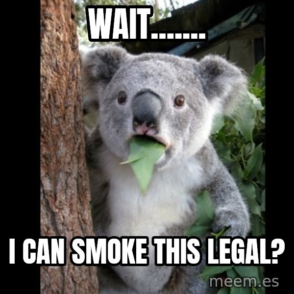Koala can't believe it meme: Wait....... / I can smoke this legal?