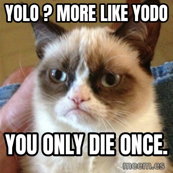 Grumpy Cat  meme: Yolo ? more like yodo / you only die once.