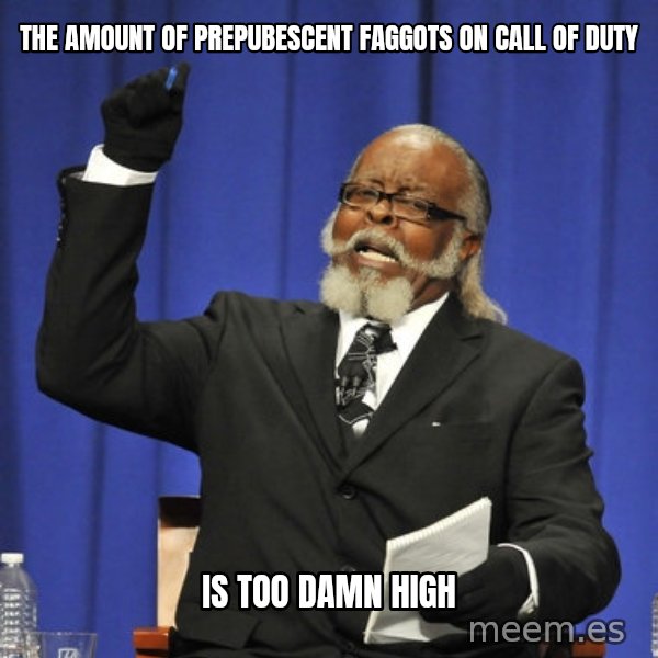 Rent Is Too Damn High meme: the amount of prepubescent faggots on call of duty / is too damn high