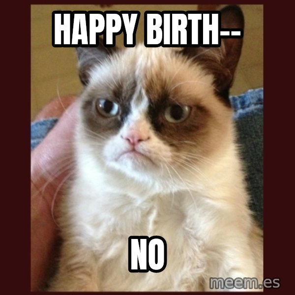 Tard the Grumpy Cat meme: Happy birth-- / no