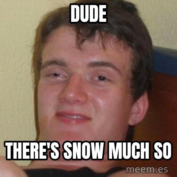 Stoner Guy meme: Dude / There's snow much so