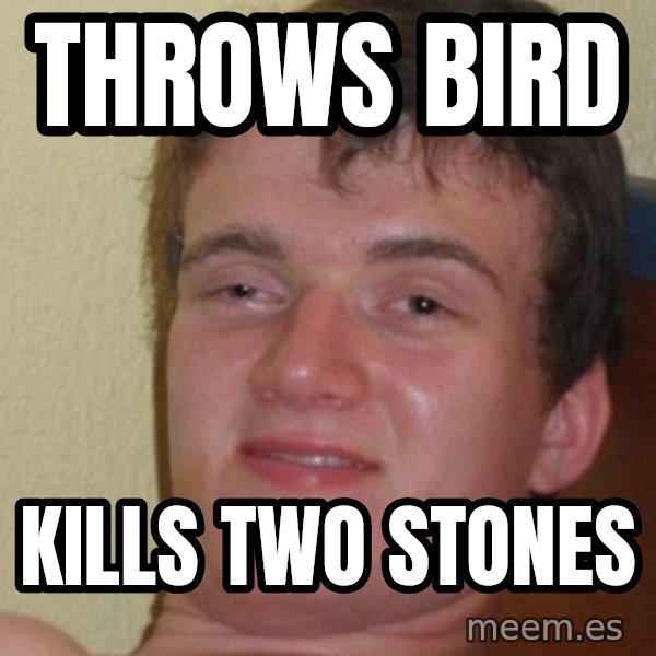 Really Stoned Guy meme: Throws bird / Kills two stones