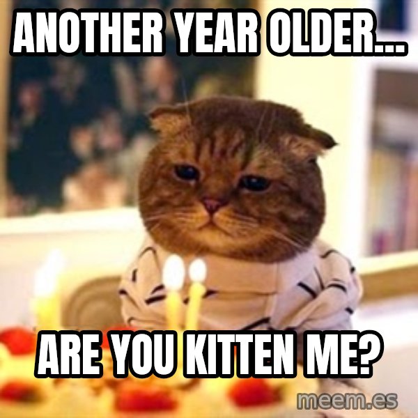 Birthday Cat meme: ANOTHER YEAR OLDER... / ARE YOU KITTEN ME?