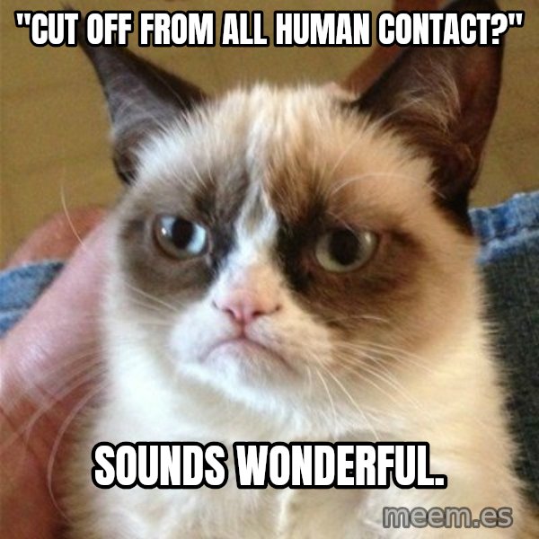 Grumpy Cat  meme: "Cut Off From All      Human Contact?" / Sounds wonderful.