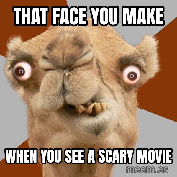 Crazy Camel lol meme: that face you make / when you see a scary movie