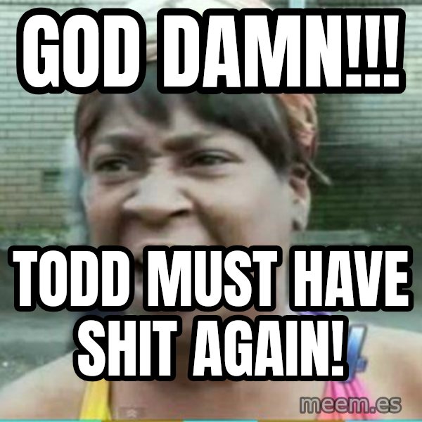 Sweet Brown Meme meme: God damn!!! / Todd must have shit again!
