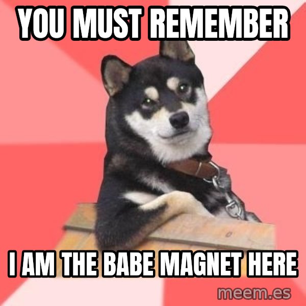 Cool Dog meme: You must remember / I am the babe magnet here