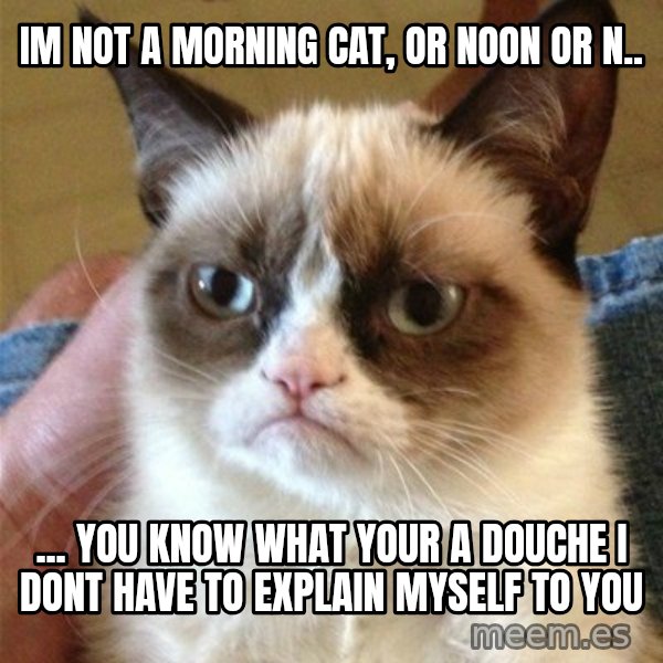 Grumpy Cat  meme: im not a morning cat, or noon or n.. / ... you know what your a douche i dont have to explain myself to you