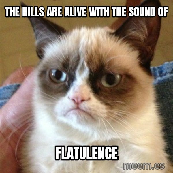 Grumpy Cat  meme: THE HILLS ARE ALIVE WITH THE SOUND OF / FLATULENCE