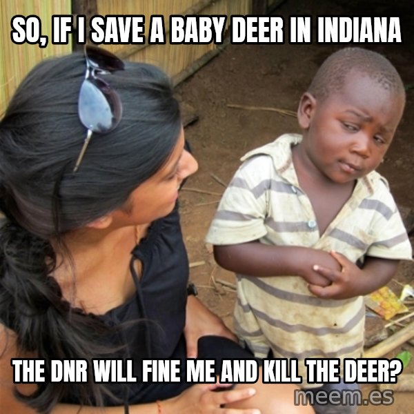 So You're Telling me meme: So, if I save a baby deer in Indiana / The DNR will Fine me and Kill the deer?