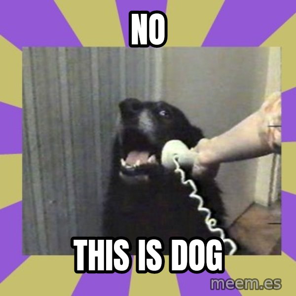 Yes, this is dog! meme: No / This is dog