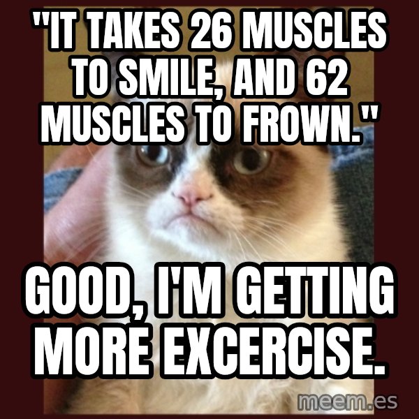 Grumpy Cat  meme: "It takes 26 muscles to smile, and 62 muscles to frown." / Good, I'm getting more excercise.