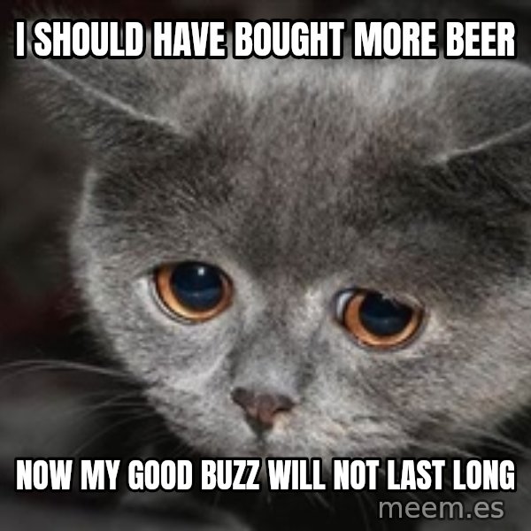 Sadcat meme: I should have bought MORE BEER / Now my good buzz will not last long