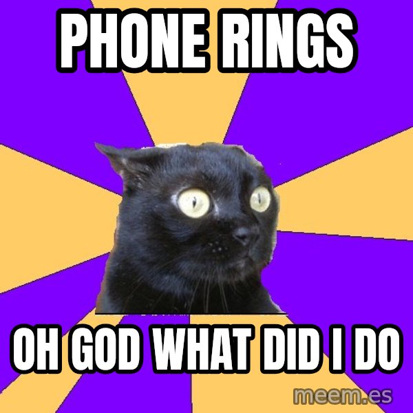 Anxiety Cat meme: PHONE RINGS / OH GOD WHAT DID I DO
