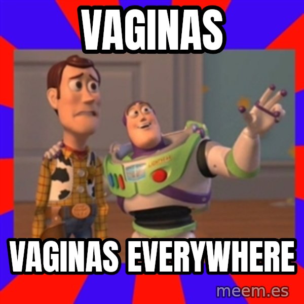 X, X Everywhere  meme: vaginas / vaginas everywhere