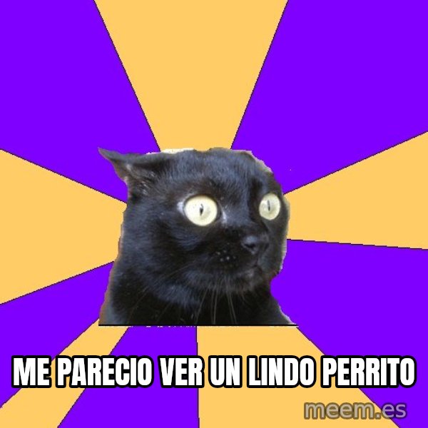Anxiety Cat meme: Me parecio ver un lindo perrito