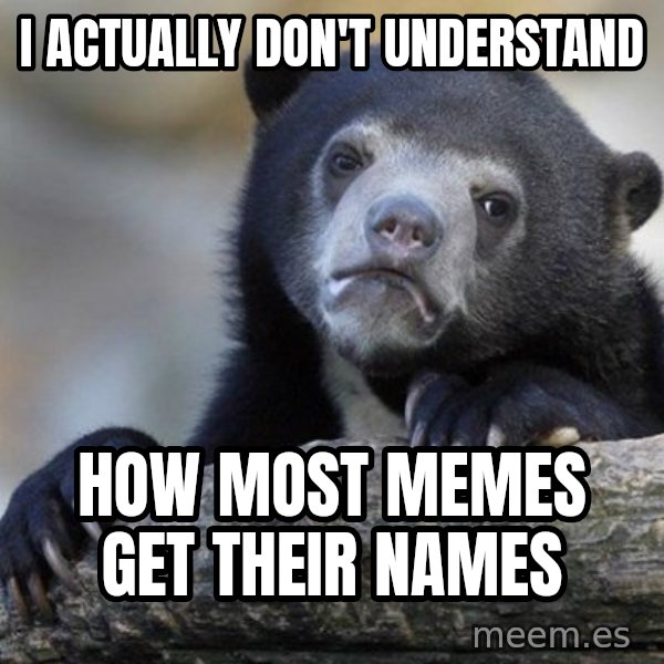 Confession Bear meme: I actually don't understand / how most memes get their names