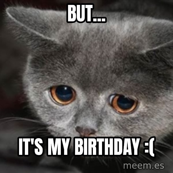 Sadcat meme: but... / It's my birthday :(