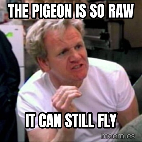 Gordon Ramsay meme: THe pigeon is so raw / it can still fly