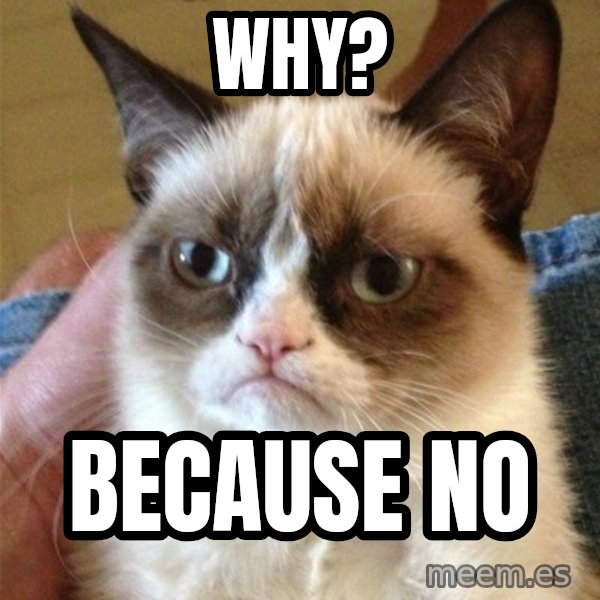 Grumpy Cat  meme: why? / because no