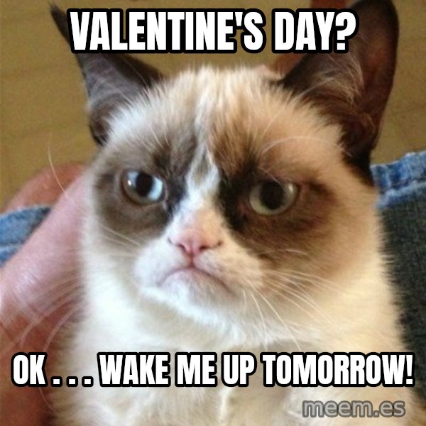 Grumpy Cat  meme: ValEntine's Day? / ok . . . wake me up tomorrow!