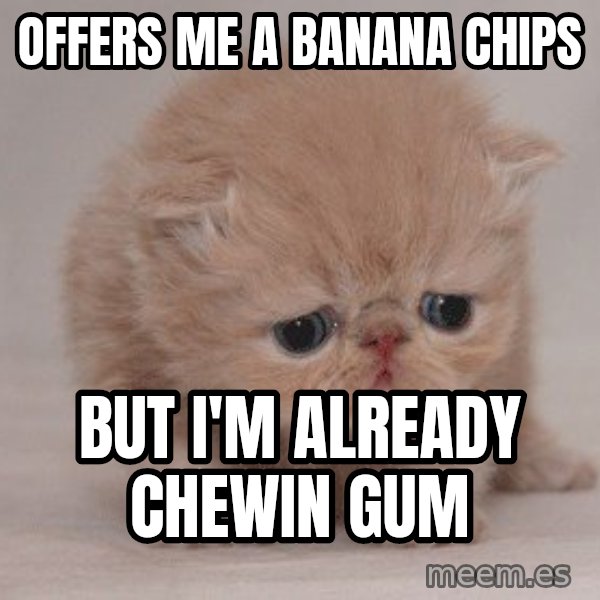 Sadcat meme: offers me a banana chips / but i'm already chewin gum