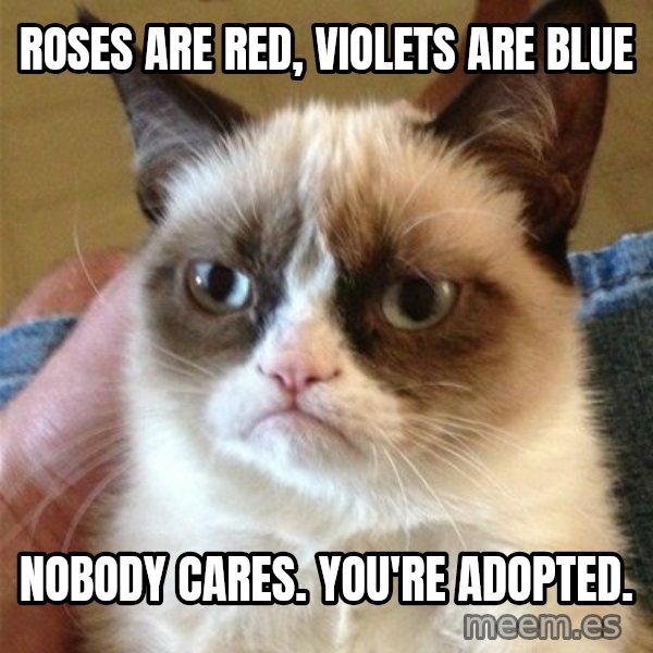 Grumpy Cat  meme: Roses are red, violets are Blue / Nobody cares. You're adopted.