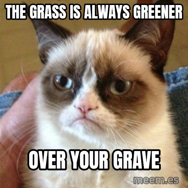 Grumpy Cat  meme: the grass is always greener / over your grave