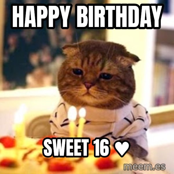 Birthday Cat meme: Happy Birthday / SWEET 16  ♥