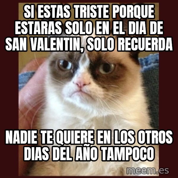 Tard the Grumpy Cat meme: si estas triste porque estaras solo en el dia de san valentin, solo recuerda / nadie te quiere en los otros dias del año tampoco