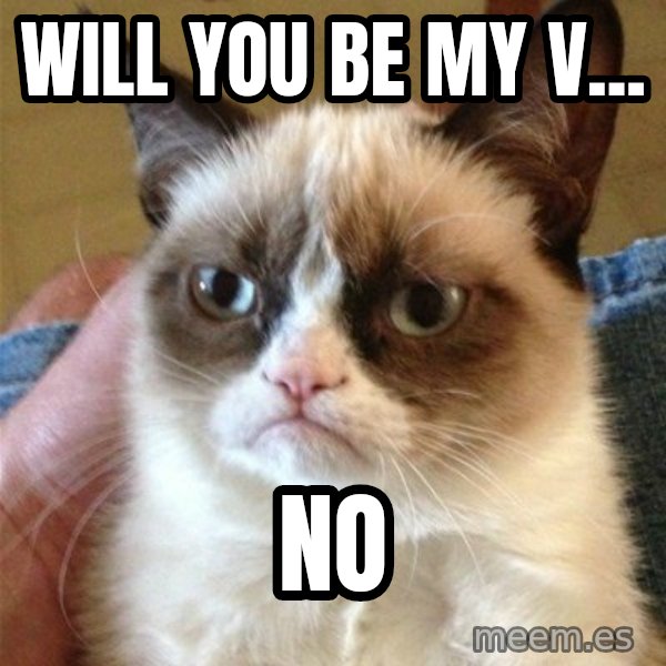 Grumpy Cat  meme: Will you be my v... / NO
