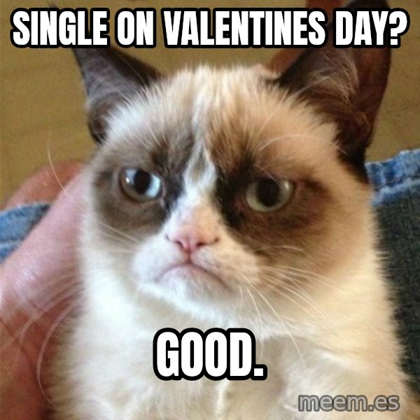 Grumpy Cat  meme: single on valentines day? / good.