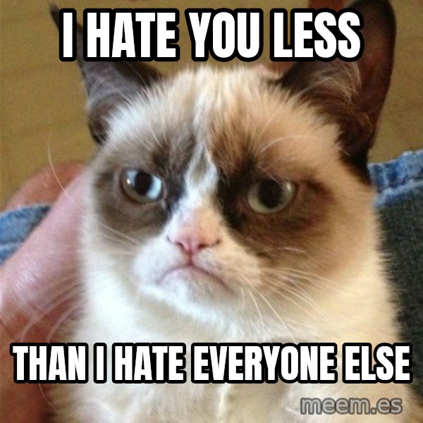 Grumpy Cat  meme: I hate you less / than i hate everyone else