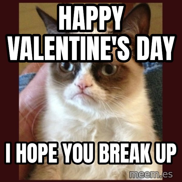 Grumpy Cat  meme: HAPPY VALENTINE'S DAY / I HOPE YOU BREAK UP