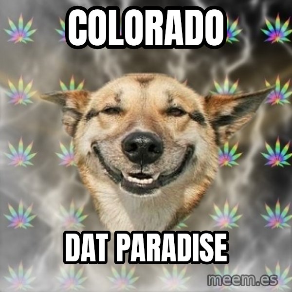 Stoner Dog meme: Colorado / dat paradise