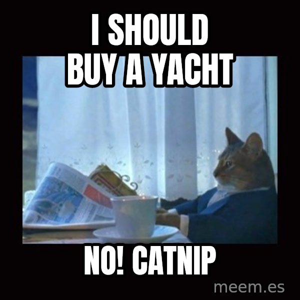 i should buy a boat cat meme: i should buy a yacht / no! Catnip