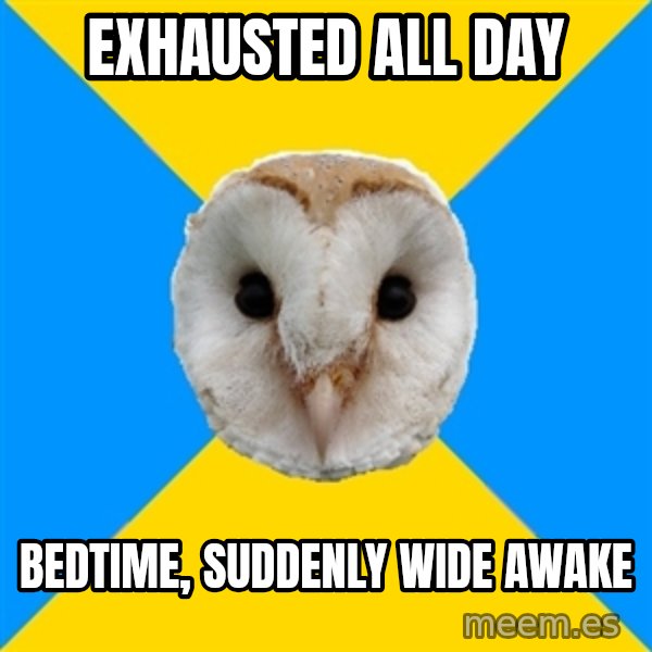 Bipolar Owl meme: Exhausted All Day / Bedtime, Suddenly wide awake