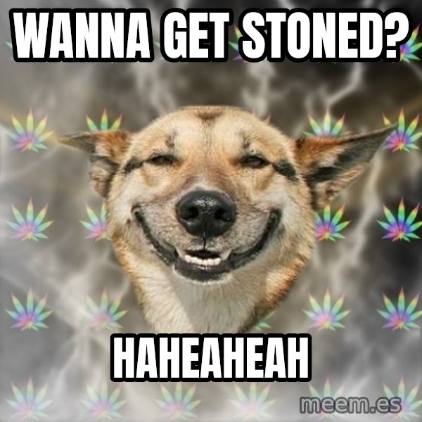 Stoner Dog meme: wanna get stoned? / haheaheah