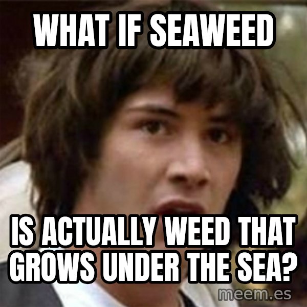 what if meme meme: What if seaweed / is actually weed that grows under the sea?
