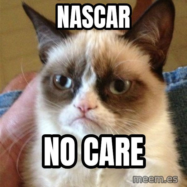 Grumpy Cat  meme: Nascar / No care
