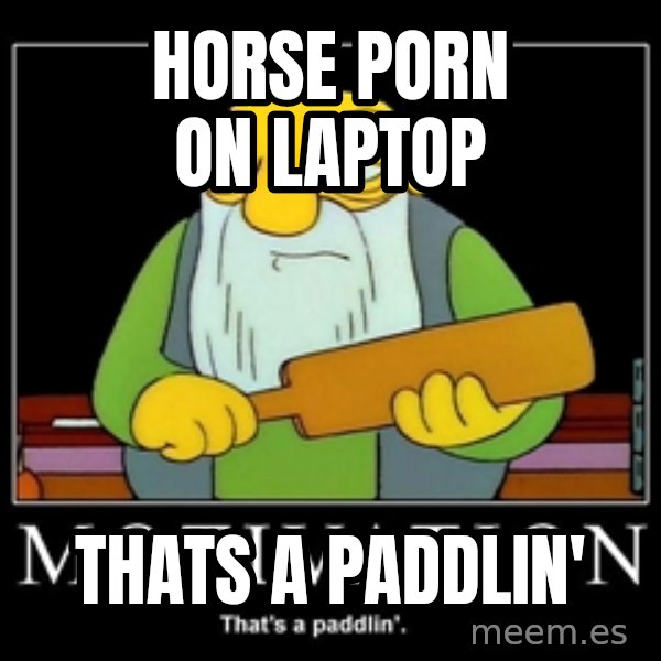 Thats a paddlin meme: Horse porn on laptop / THATS A PADDLIN'