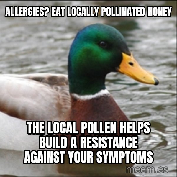 Actual Advice Mallard 1 meme: allergies? eat locally pollinated honey / the local pollen helps build a resistance against your symptoms